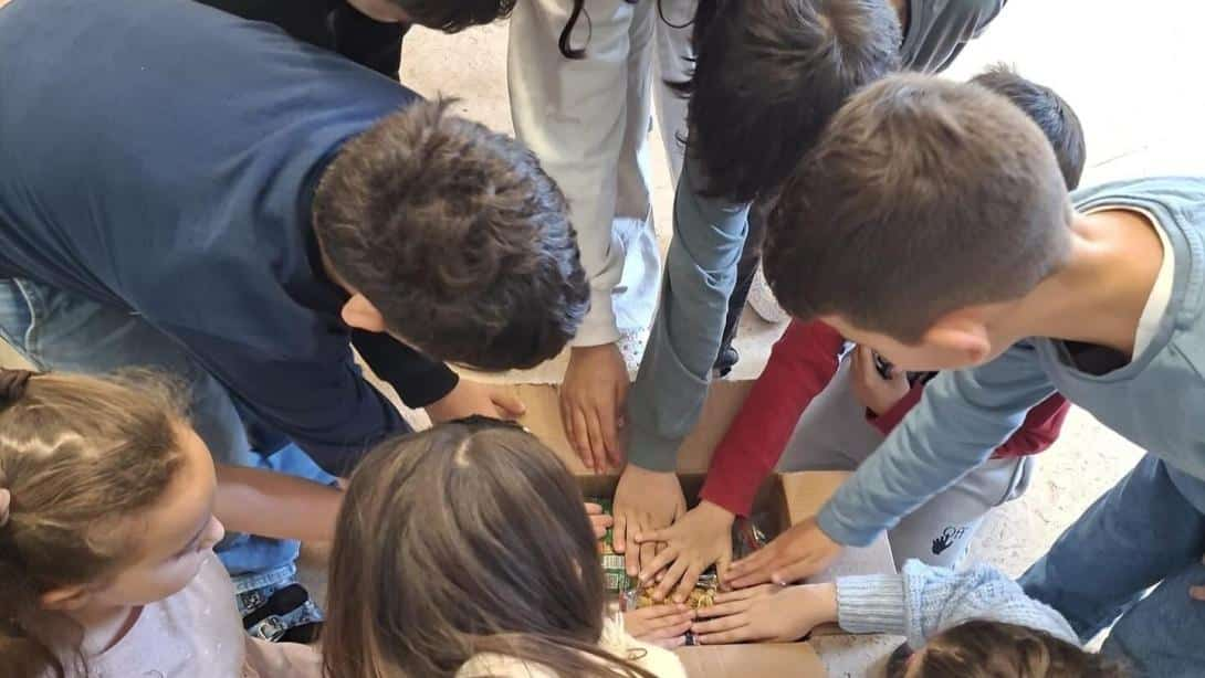 İçerik Resmi